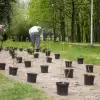 Zasadzili drzewa i krzewy w dwóch tyskich parkach
