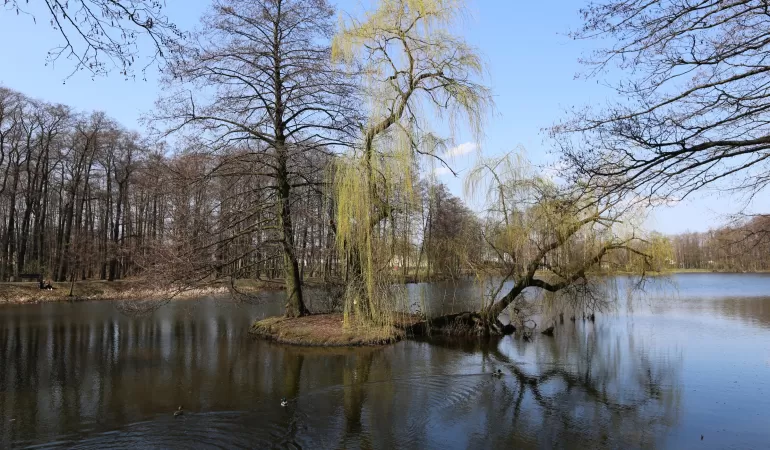 Park Północny w Tychach - 9.04.2018