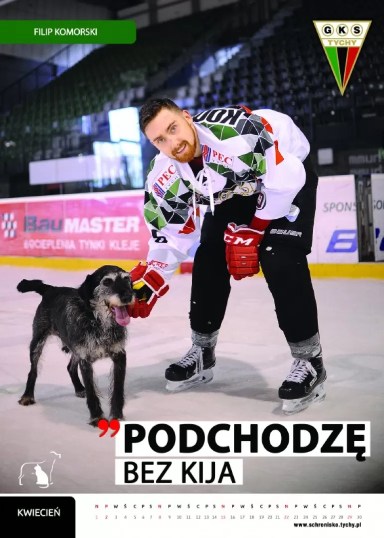 Wyjątkowy kalendarz GKS Tychy w towarzystwie zwierząt