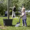 [FOTO] Mieszkańcy, którym urodziło się dziecko, sadzą drzewa!