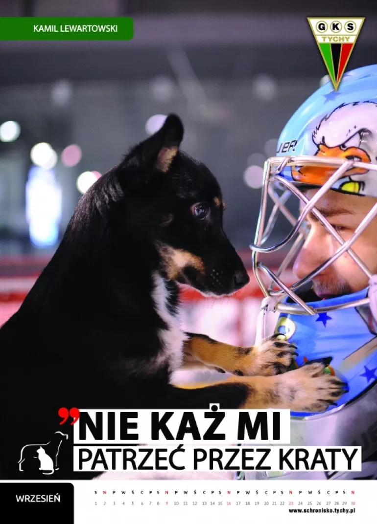 Wyjątkowy kalendarz GKS Tychy w towarzystwie zwierząt