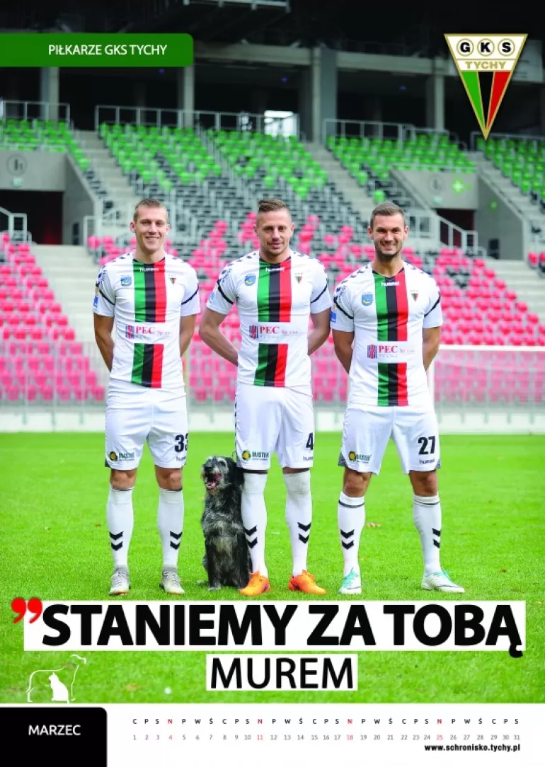 Wyjątkowy kalendarz GKS Tychy w towarzystwie zwierząt